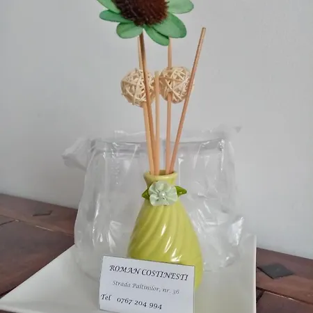 Roman Costinesti Pensión 4*