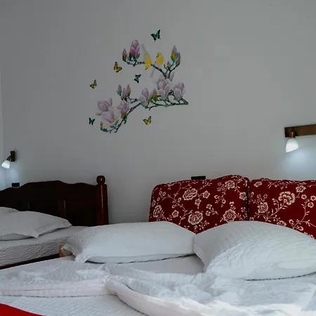 Roman Costinesti Pensión 4*