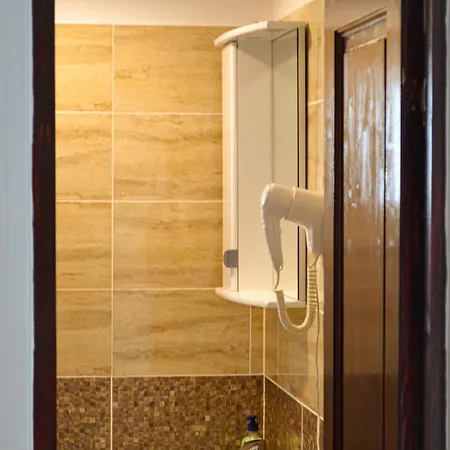 Pensión Roman Costinesti